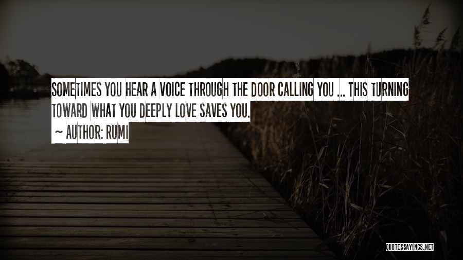 Love Saves Quotes By Rumi