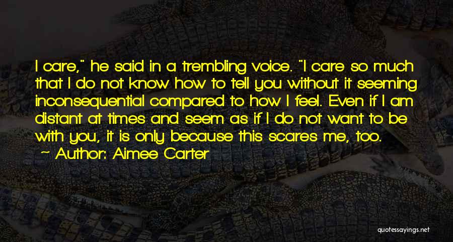 Love Scares Me Quotes By Aimee Carter