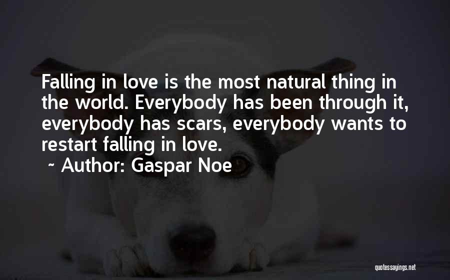 Love Scars Quotes By Gaspar Noe