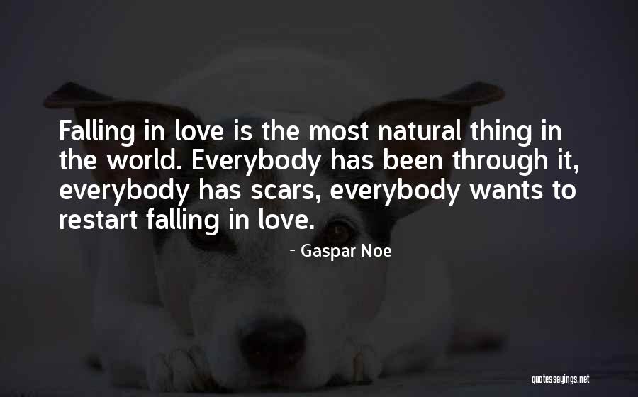 Love Scars Quotes By Gaspar Noe