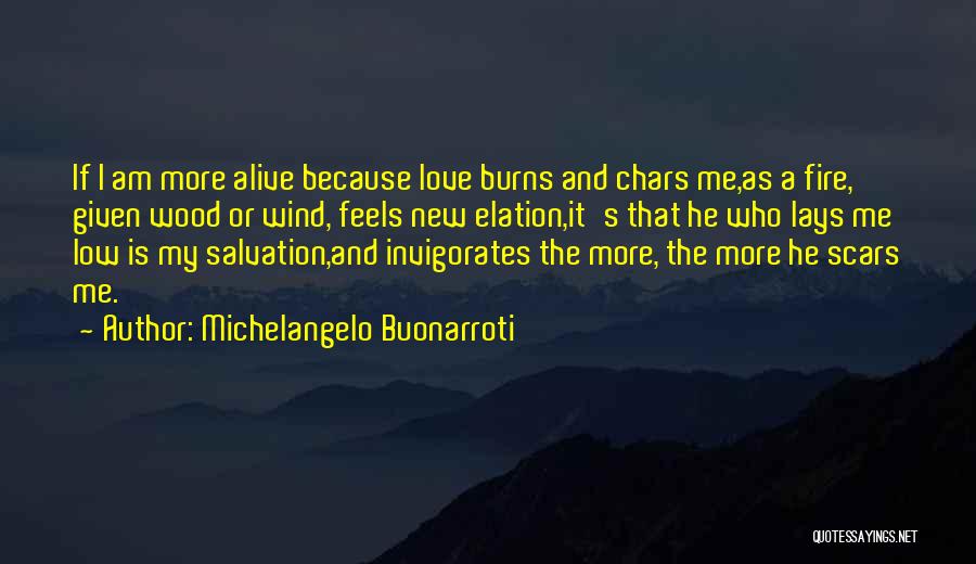 Love Scars Quotes By Michelangelo Buonarroti