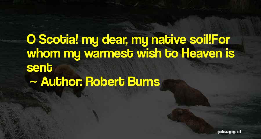 Love Scotland Quotes By Robert Burns