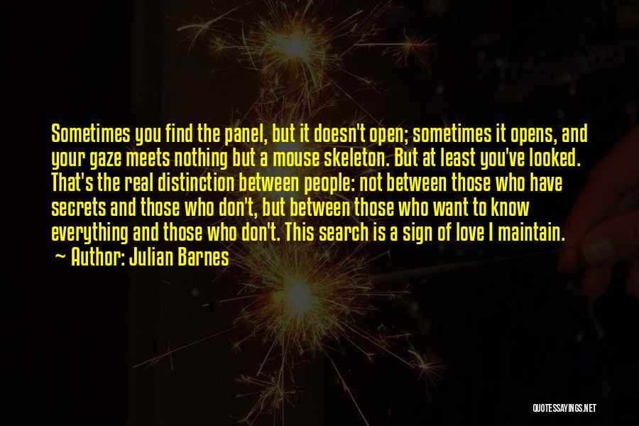 Love Secrets Quotes By Julian Barnes