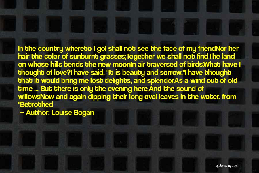 Love See No Color Quotes By Louise Bogan