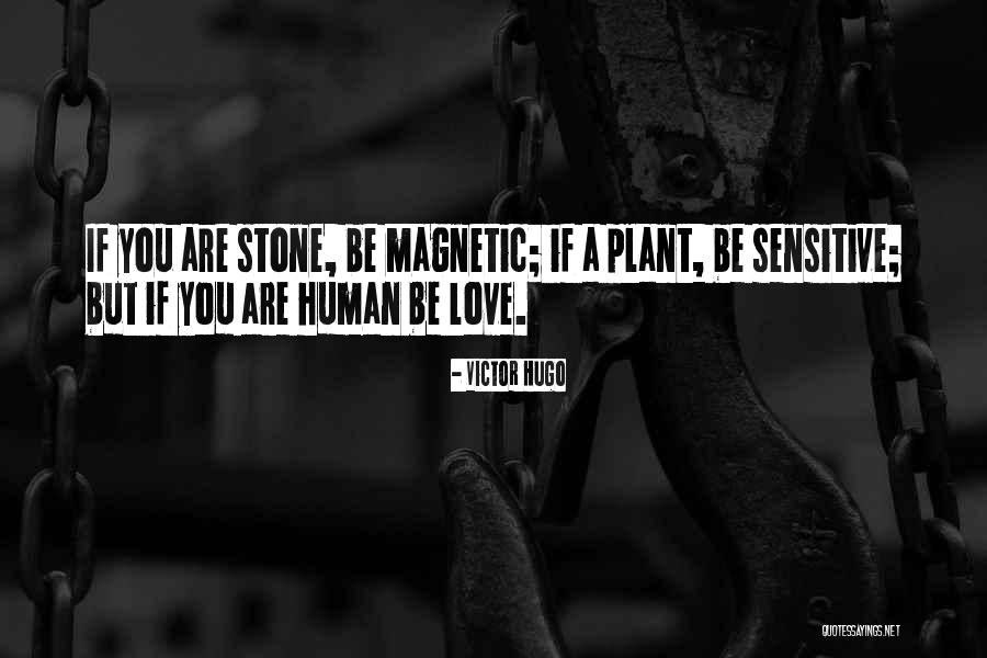 Love Sensitive Quotes By Victor Hugo Love Sensitive Quotes By Victor Hugo