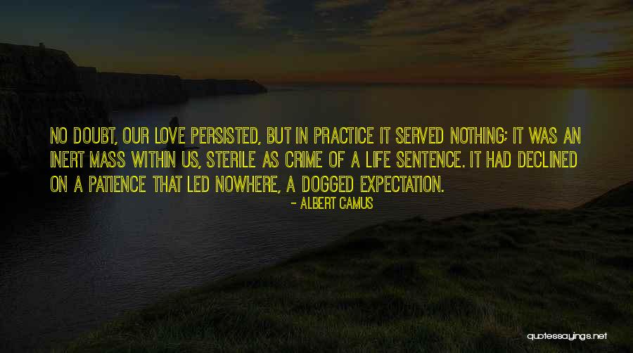 Love Sentence Quotes By Albert Camus