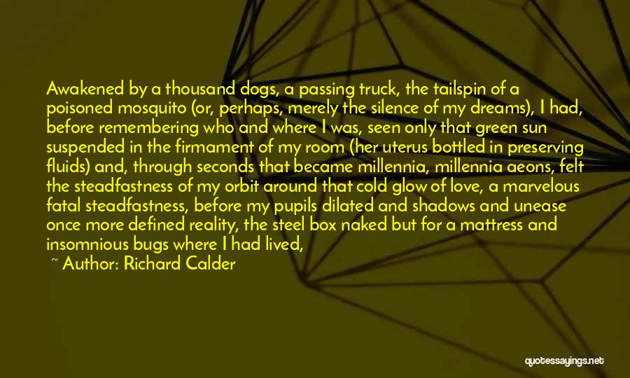 Love Sentences Quotes By Richard Calder