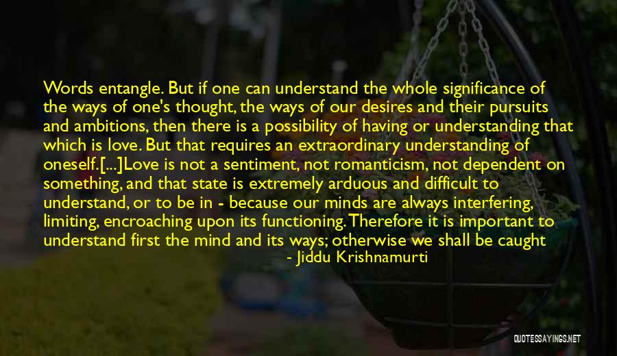 Love Sentiment Quotes By Jiddu Krishnamurti