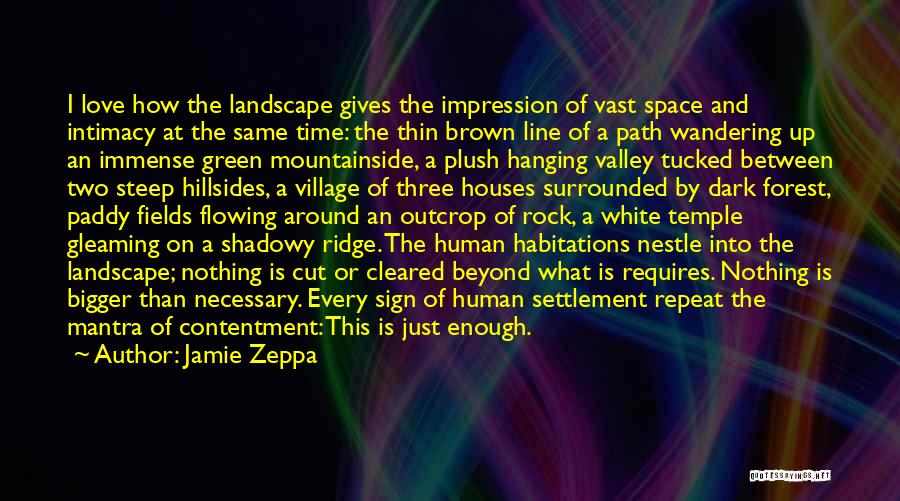 Love Settlement Quotes By Jamie Zeppa
