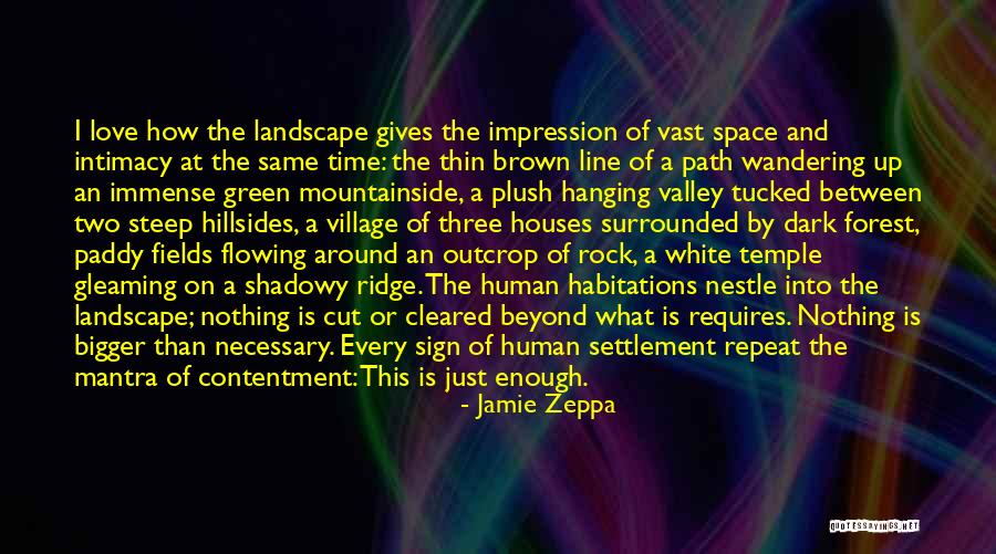 Love Settlement Quotes By Jamie Zeppa