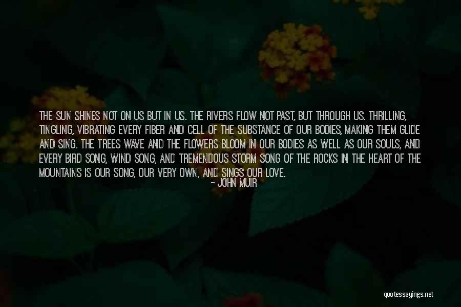 Love Shines Through Quotes By John Muir Love Shines Through Quotes By John Muir