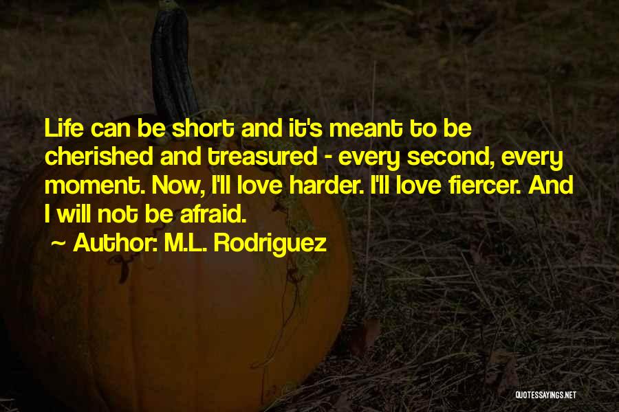 Love Short Quotes Quotes By M.L. Rodriguez