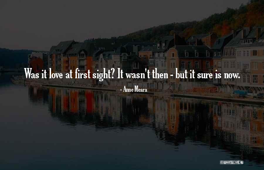 Love Sight Quotes By Anne Meara