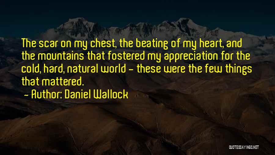 Love Significance Quotes By Daniel Wallock