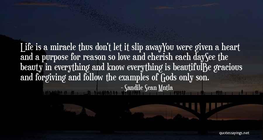 Love Slip Away Quotes By Sandile Sean Mntla