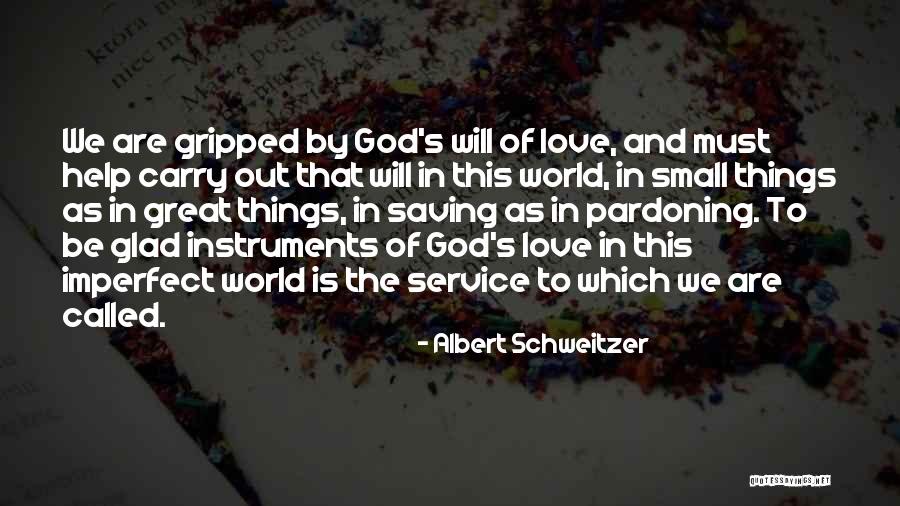 Love Small Things Quotes By Albert Schweitzer