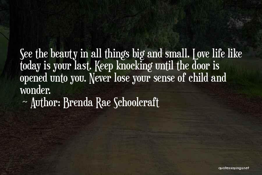 Love Small Things Quotes By Brenda Rae Schoolcraft
