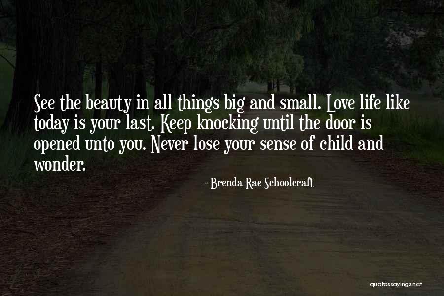 Love Small Things Quotes By Brenda Rae Schoolcraft