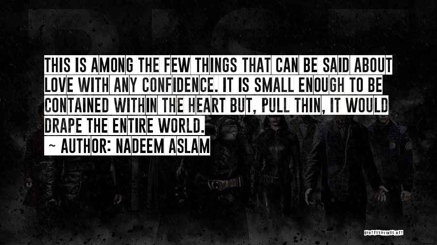 Love Small Things Quotes By Nadeem Aslam