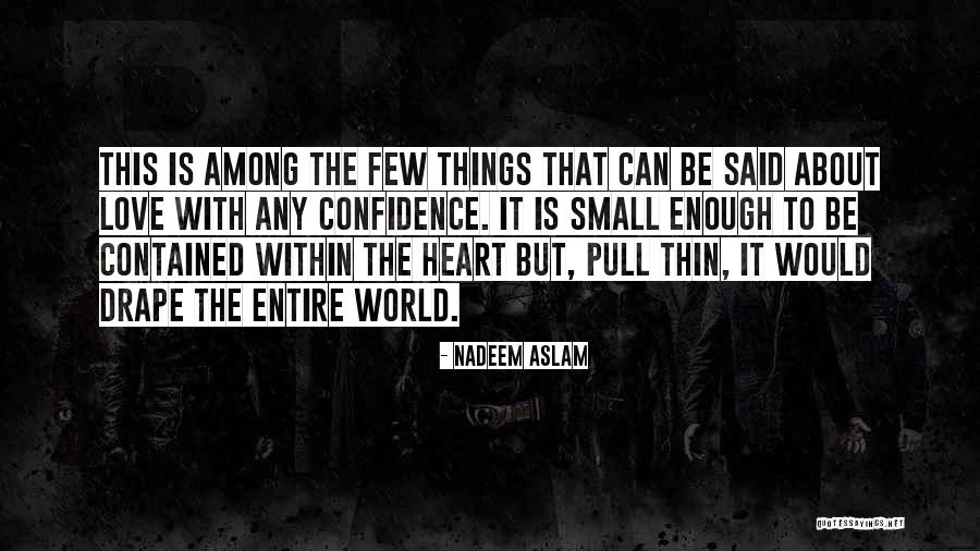 Love Small Things Quotes By Nadeem Aslam