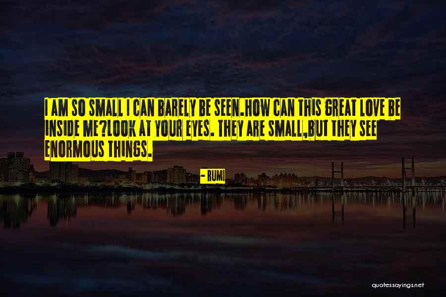 Love Small Things Quotes By Rumi