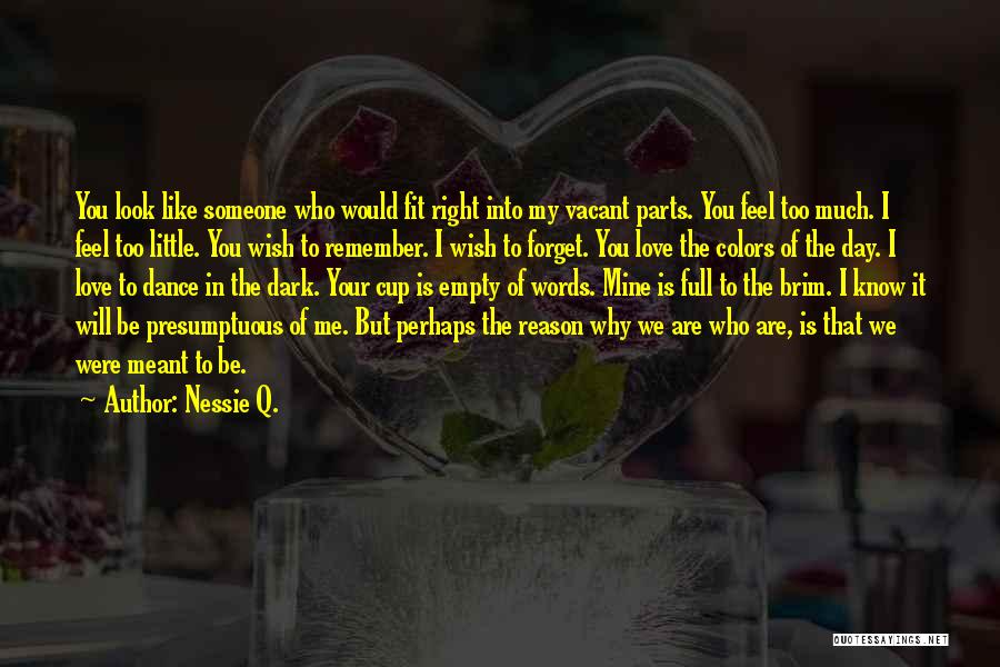 Love Someone Like Quotes By Nessie Q.