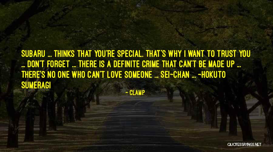 Love Someone Special Quotes By CLAMP