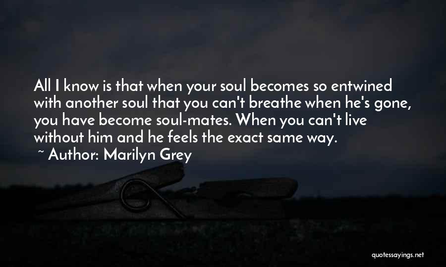 Love Soul Mates Quotes By Marilyn Grey