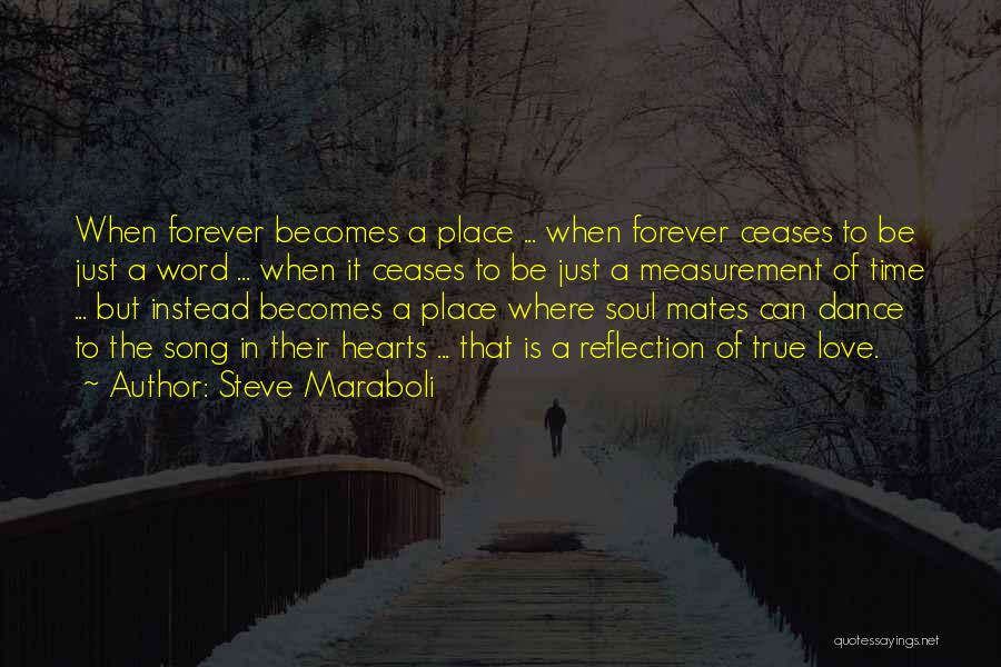 Love Soul Mates Quotes By Steve Maraboli