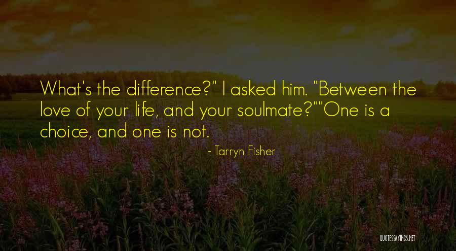 Love Soulmate Quotes By Tarryn Fisher