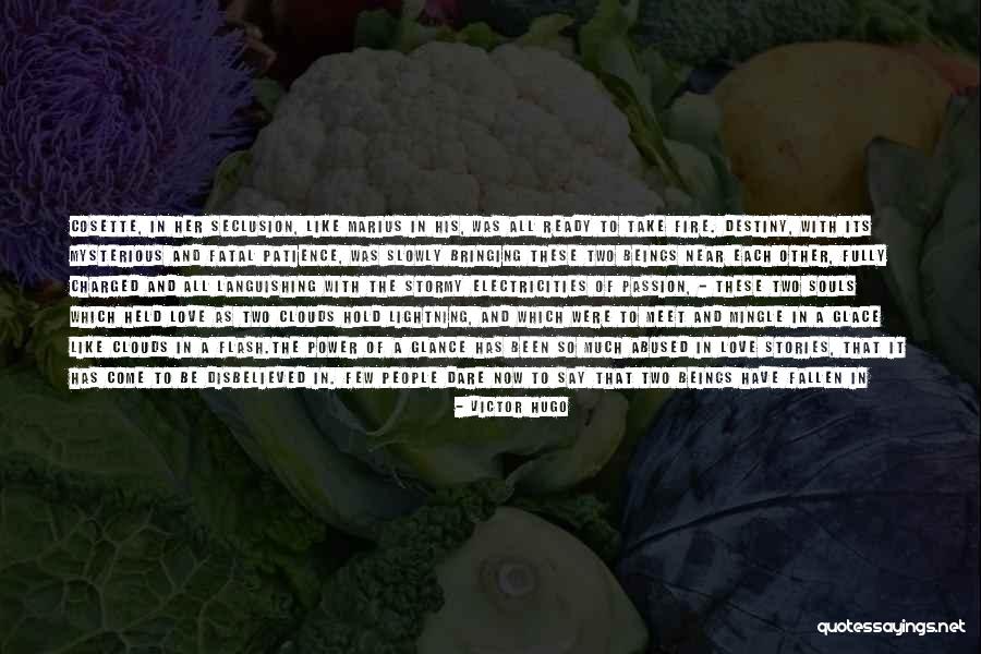 Love Spark Quotes By Victor Hugo Love Spark Quotes By Victor Hugo