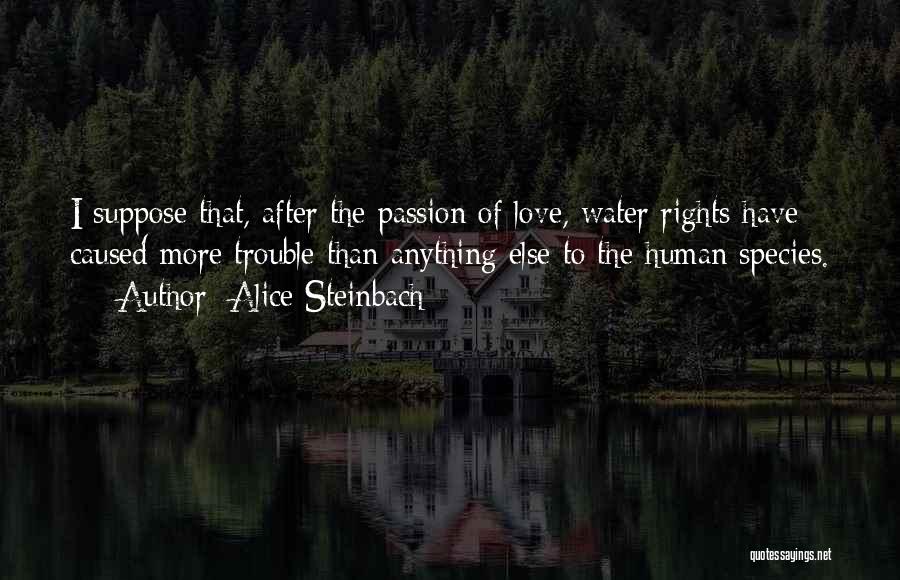 Love Species Quotes By Alice Steinbach