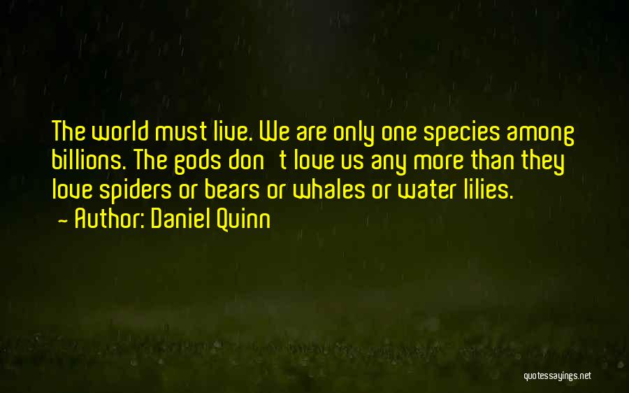 Love Species Quotes By Daniel Quinn