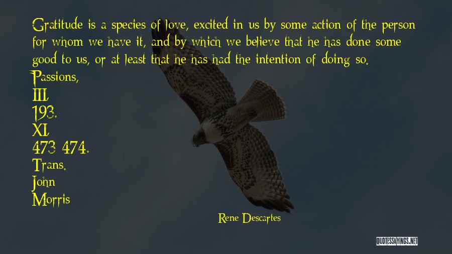 Love Species Quotes By Rene Descartes