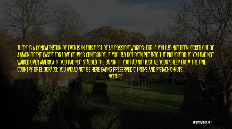 Love Stabbed Quotes By Voltaire Love Stabbed Quotes By Voltaire
