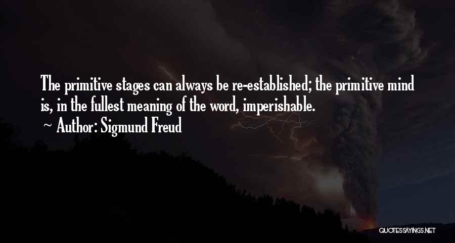 Love Stages Quotes By Sigmund Freud
