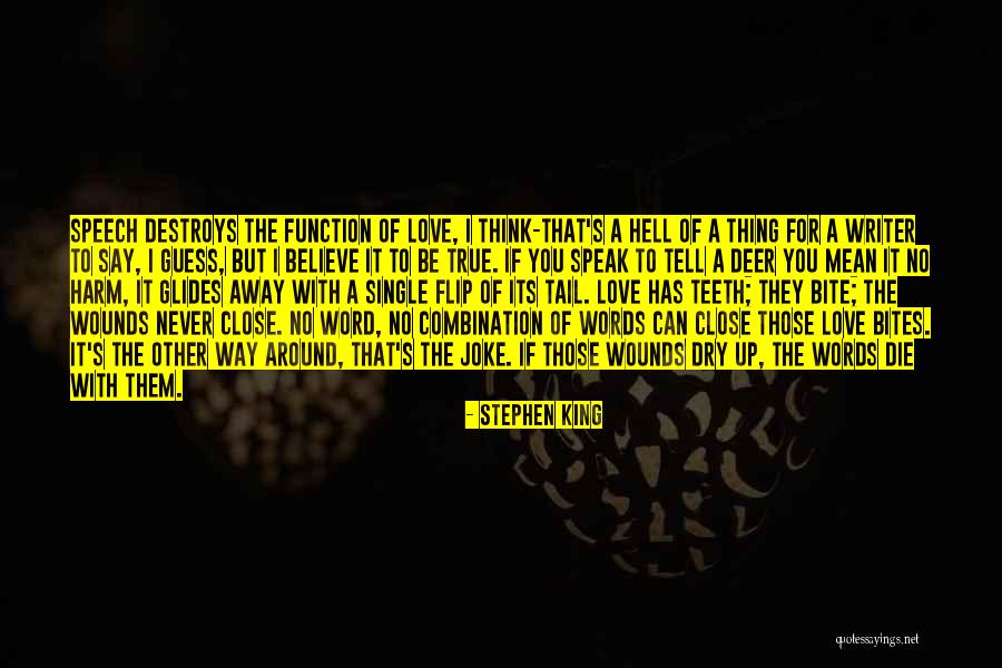 Love Stephen King Quotes By Stephen King