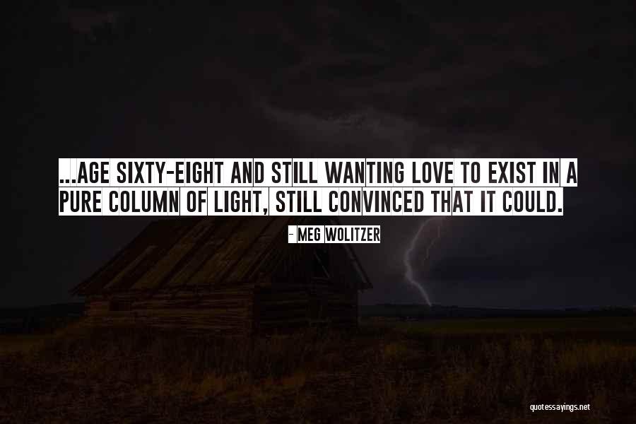 Love Still Exist Quotes By Meg Wolitzer