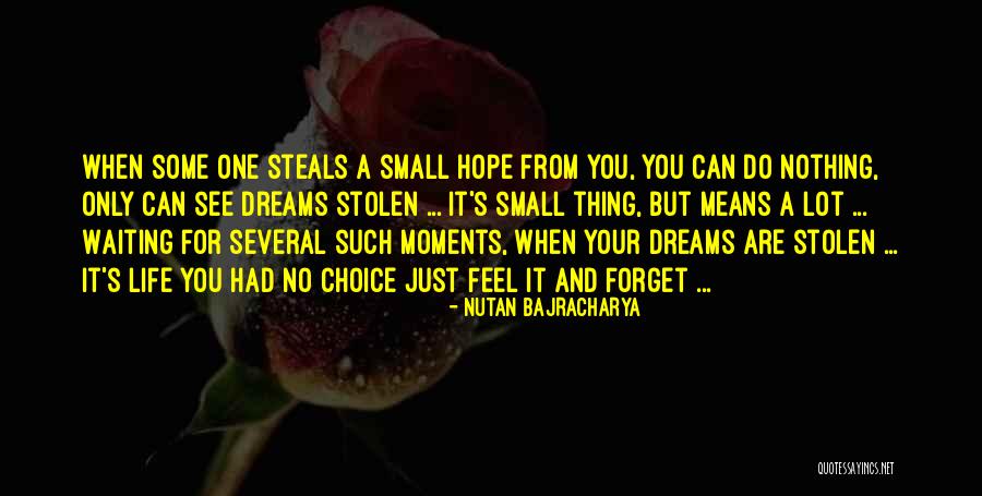 Love Stolen Quotes By Nutan Bajracharya