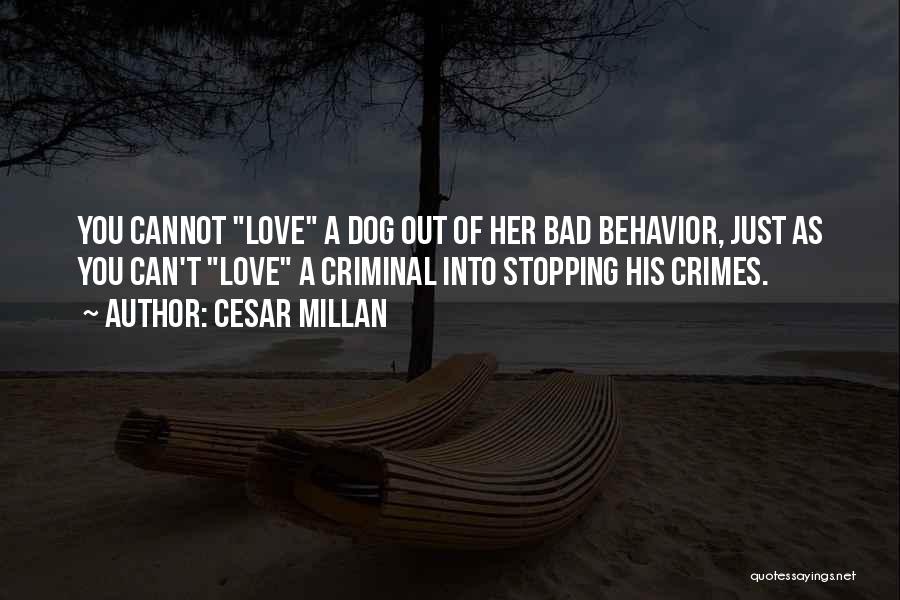 Love Stopping Quotes By Cesar Millan