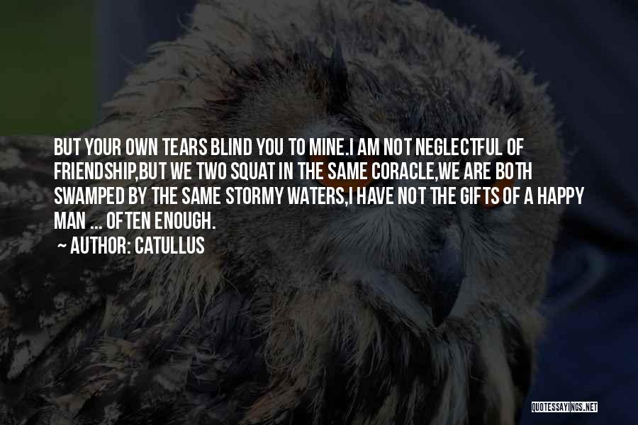 Love Stormy Quotes By Catullus