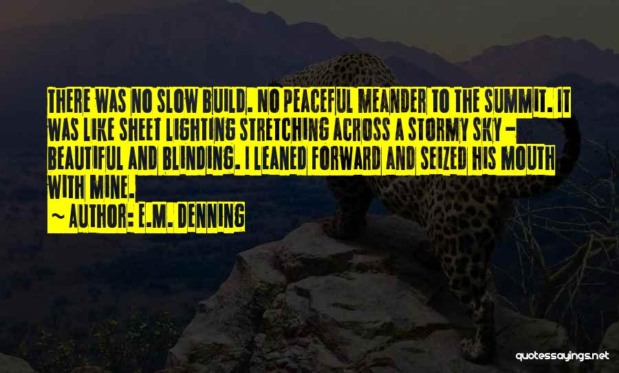 Love Stormy Quotes By E.M. Denning