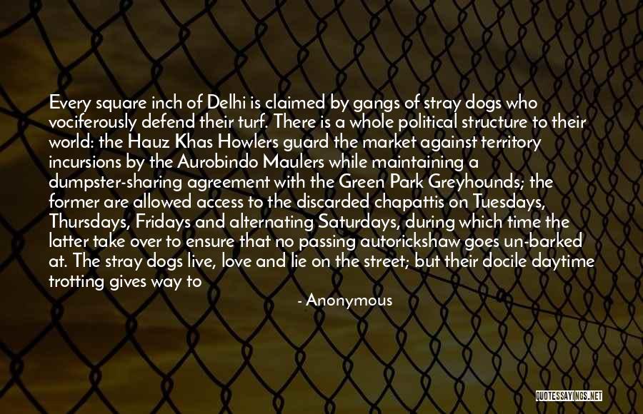 Love Stray Dogs Quotes By Anonymous Love Stray Dogs Quotes By Anonymous