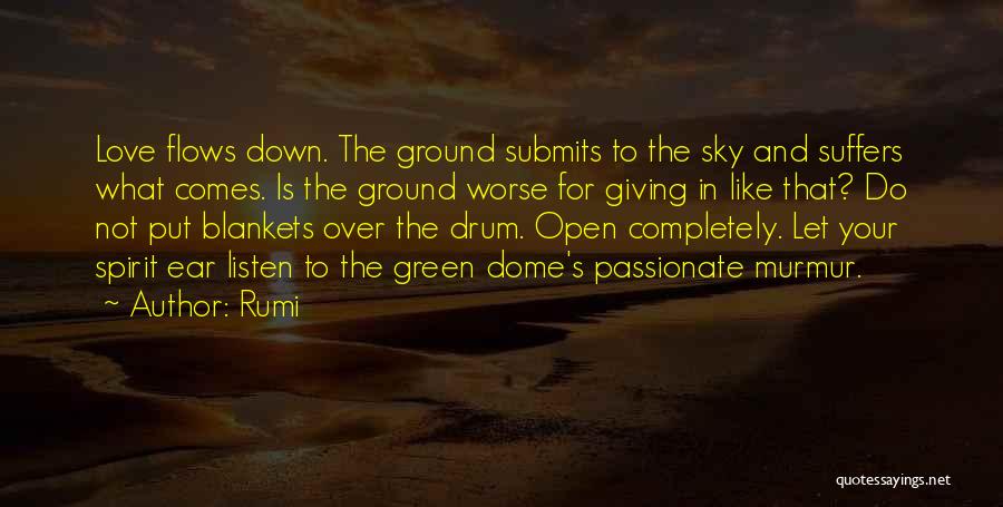Love Suffers Quotes By Rumi