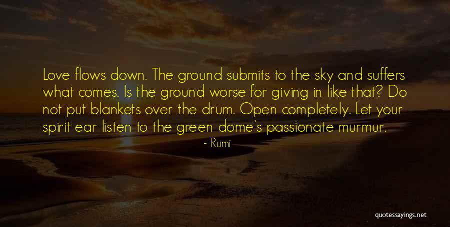 Love Suffers Quotes By Rumi