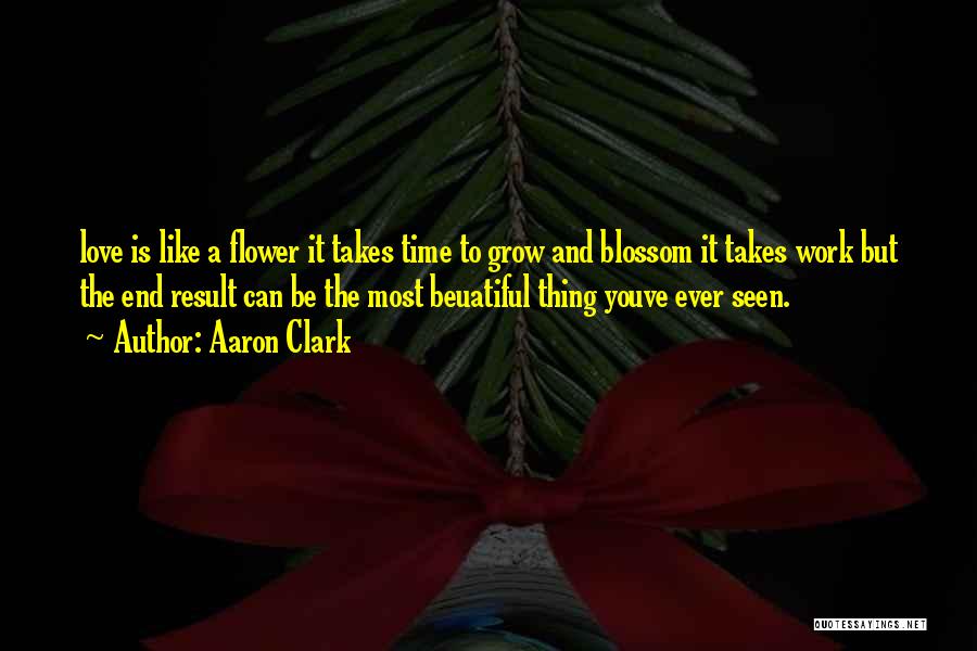 Love Takes Time To Grow Quotes By Aaron Clark