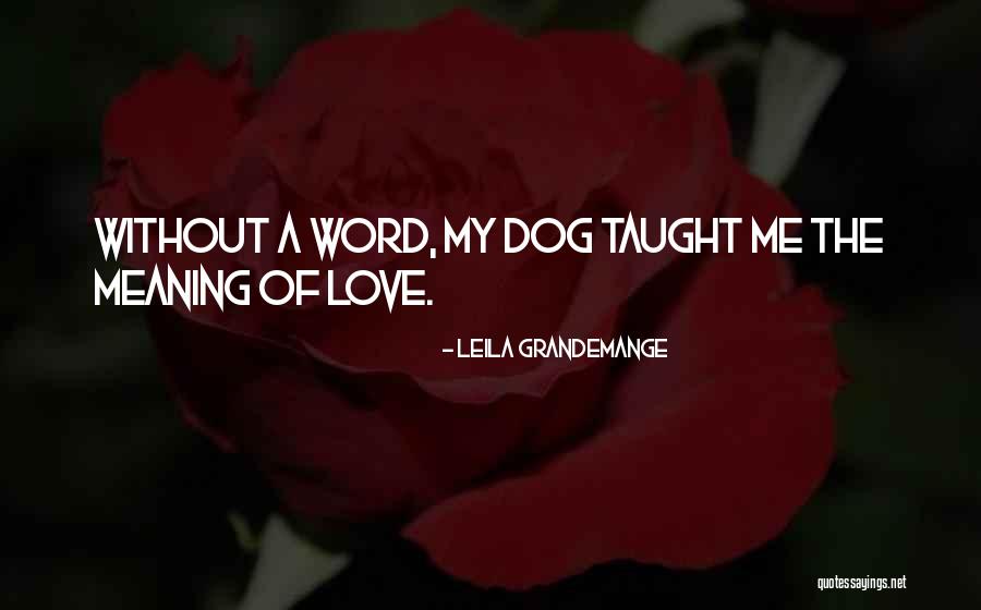 Love Taught Me Quotes By Leila Grandemange