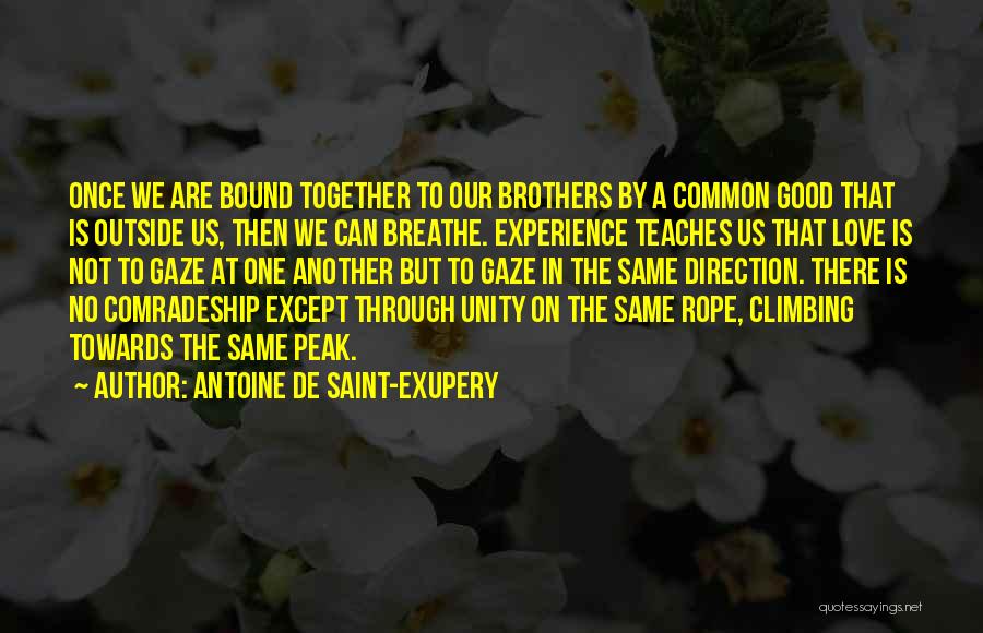 Love Teaches Us Quotes By Antoine De Saint-Exupery