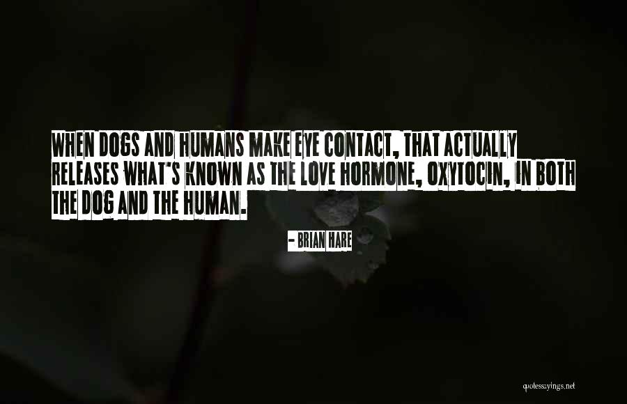 Love That Dog Quotes By Brian Hare