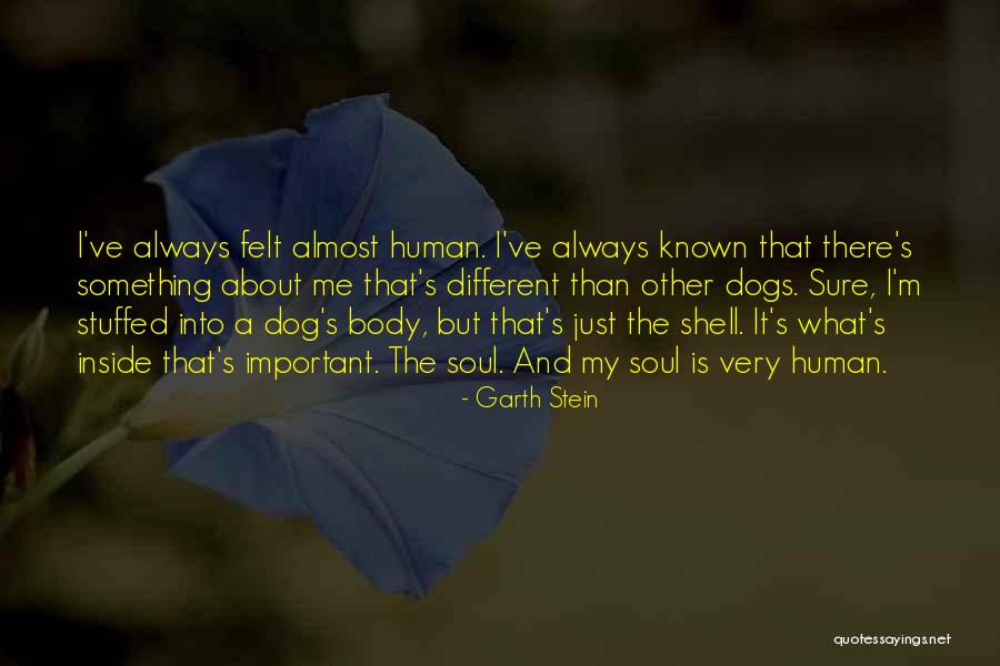 Love That Dog Quotes By Garth Stein